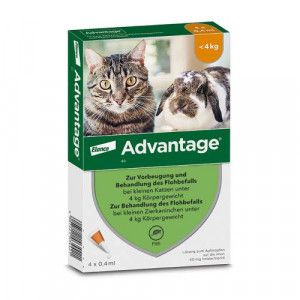 ADVANTAGE 40 mg Lsg.f.kl.Katzen/kl.Zierkaninchen